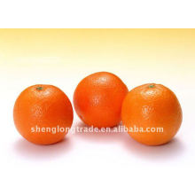 Sweet Navel Fruits d&#39;orange frais